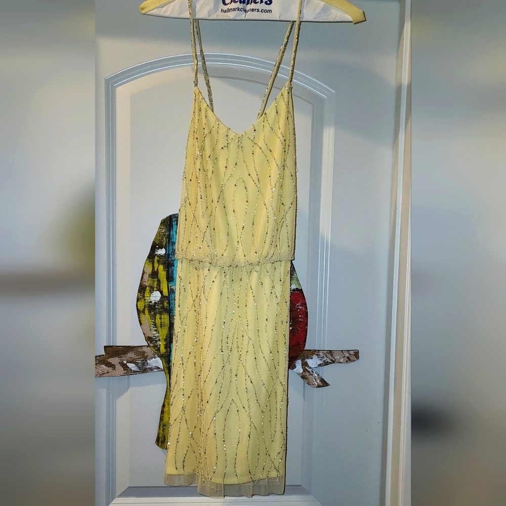A beautiful spaghetti strap dress with dainty sequin lines.